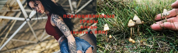 прущие крисы Алзамай