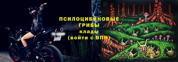 стаф Алексин