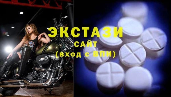 стаф Алексин