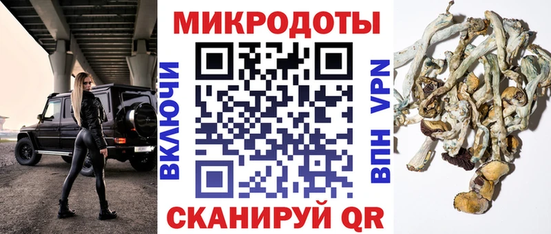 Галлюциногенные грибы прущие грибы  Купить  Михайловск 
